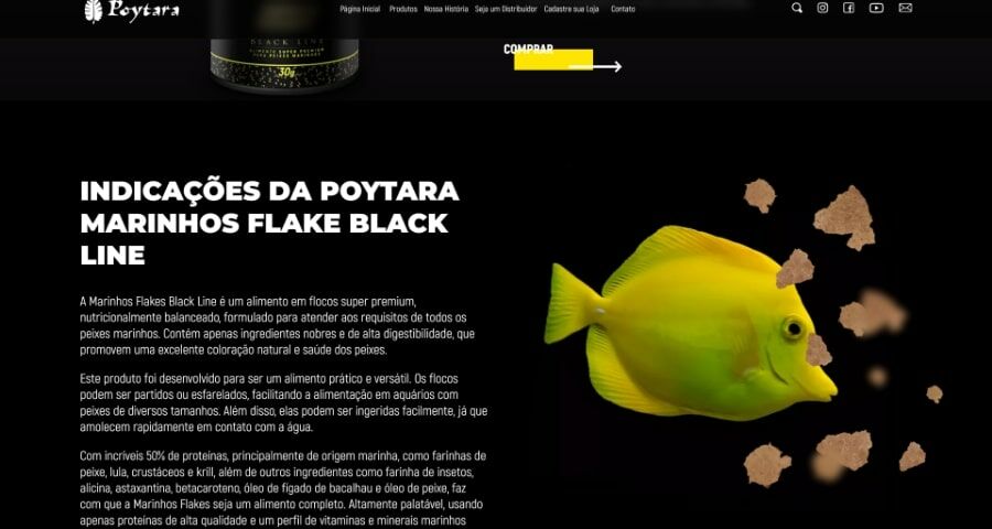 Imagem Segundo Bloco Página de Produto Poytara